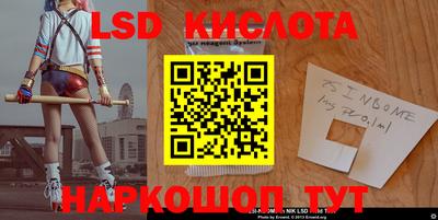 дмт Аргун
