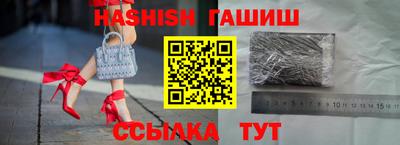дмт Аргун