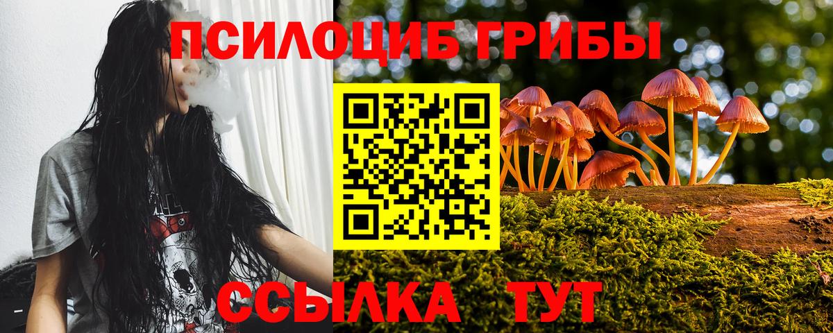 Галлюциногенные грибы Psilocybine cubensis  Галлюциногенные грибы мицелий  Балашиха  Вход с VPN 